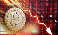 11月22日北向资金最新动向（附十大成交股）